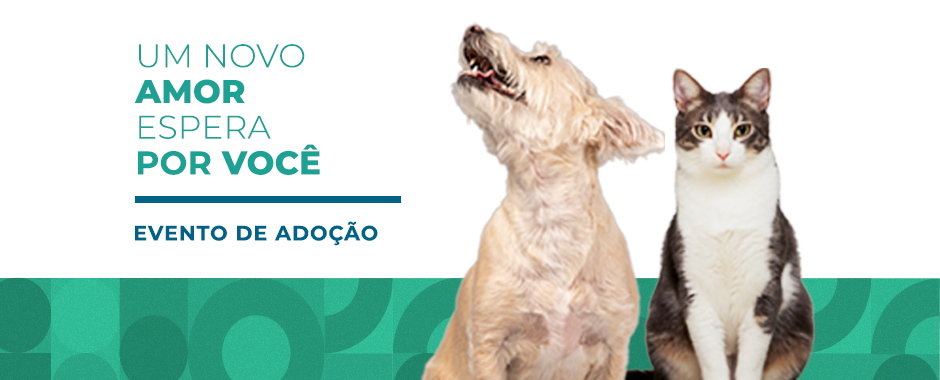 fique por dentro 940 x 380.png