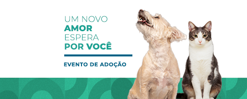 fique por dentro 500x200.png